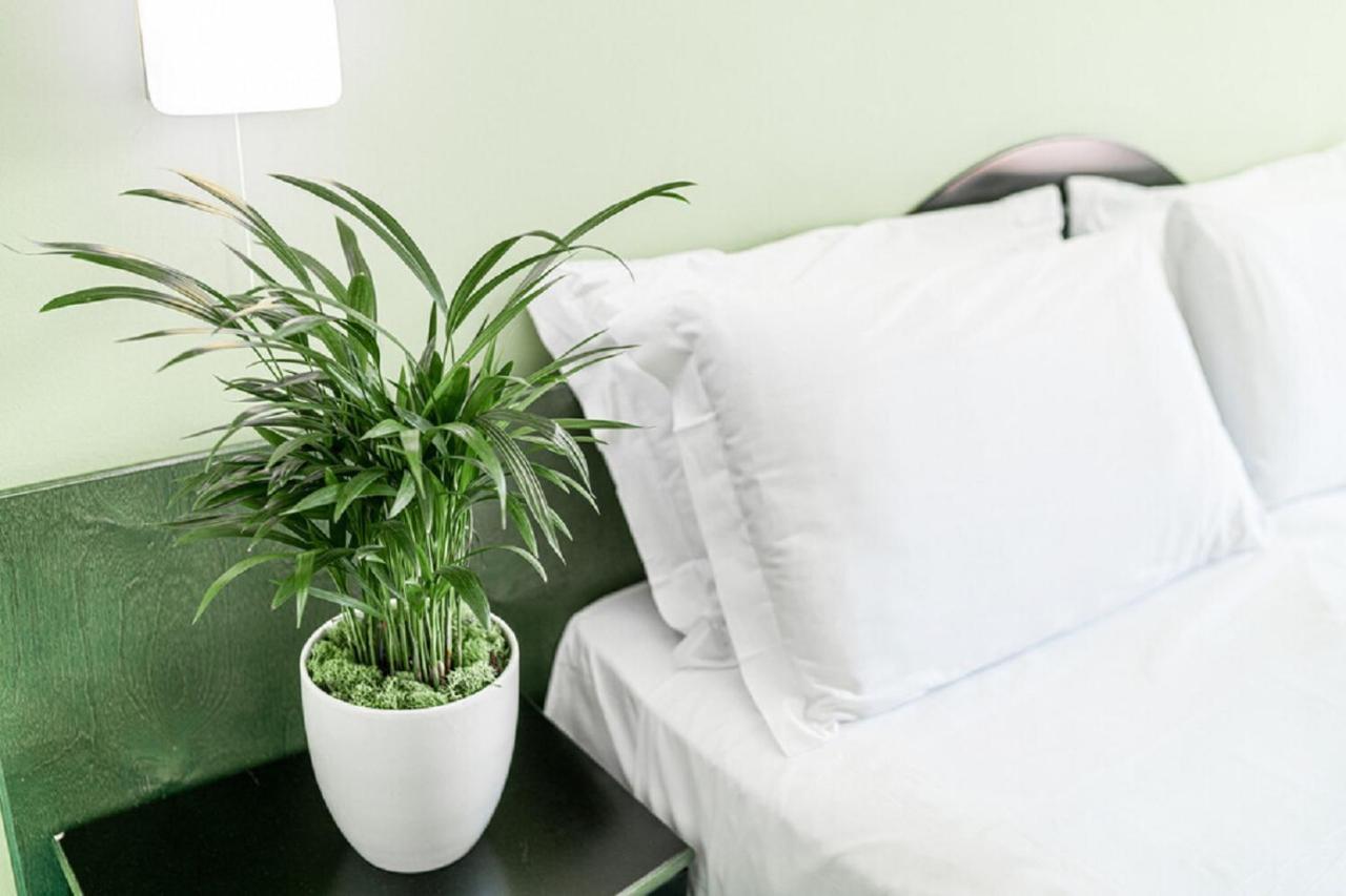 ליגננו סביאדורו Hotel Medusa Splendid מראה חיצוני תמונה